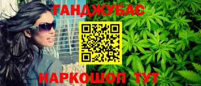 крисы Малгобек
