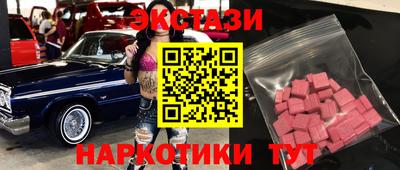 крисы Малгобек