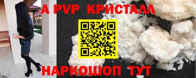 крисы Малгобек