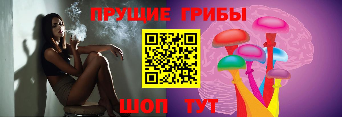 Зеленодольск  Псилоцибиновые грибы Psilocybe  Вход с VPN 